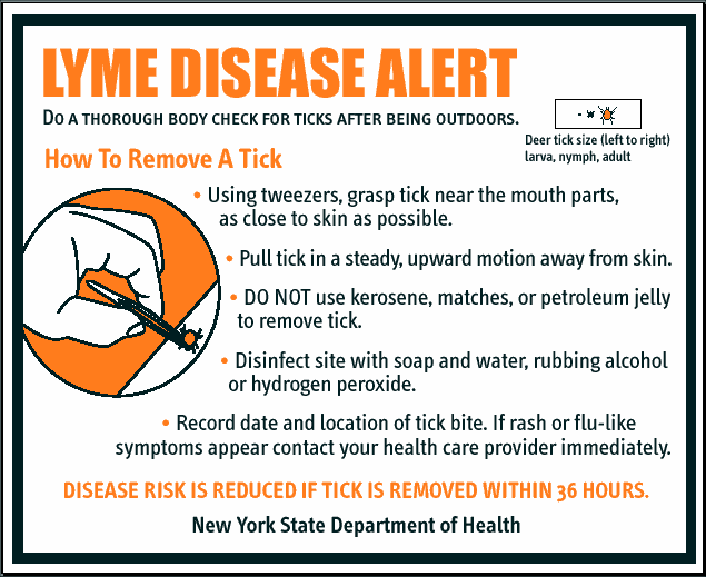 Lyme disease links 