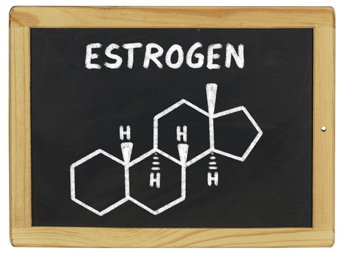 estrogen