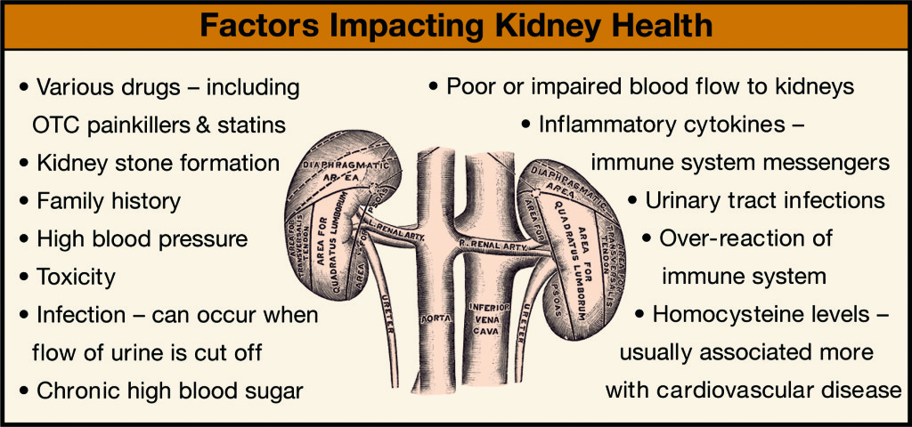 Kidney-Health