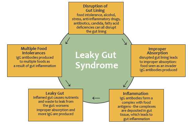 Leaky Gut Syndrome