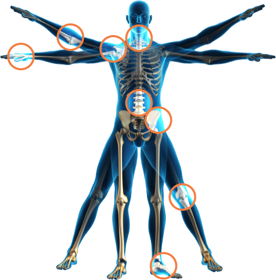 body_skeleton