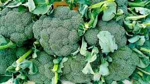 The best Herbs for Cancer Pain Management