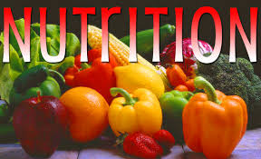 Ketogenic diet merits