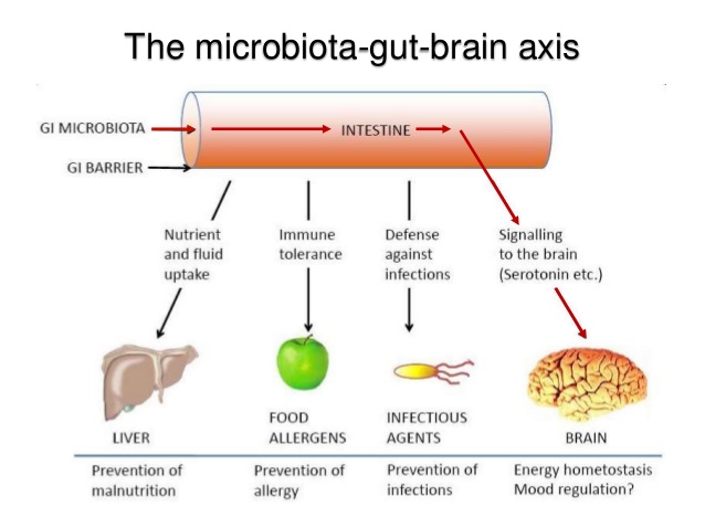 The-Gut-Brain-Skin-Microbiota Axis