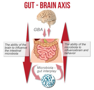 How Gut Changes the Brain
