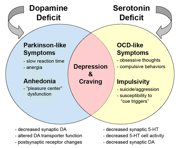 Good Neurotransmitters
