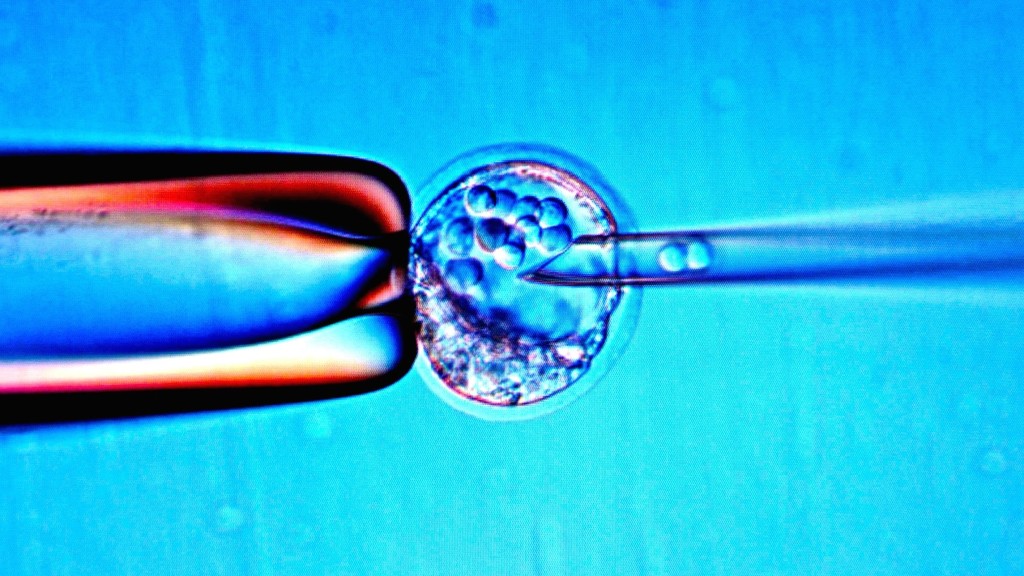 master cells