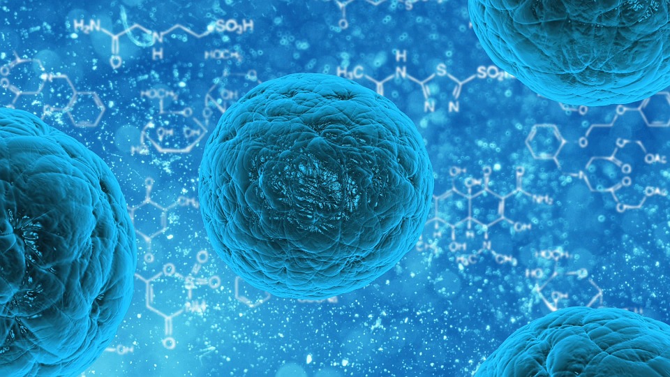 stem cell therapy 