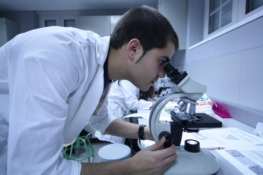 stem cell therapy