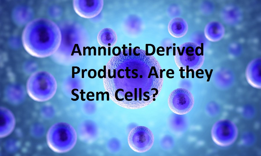 embryonic stem cells