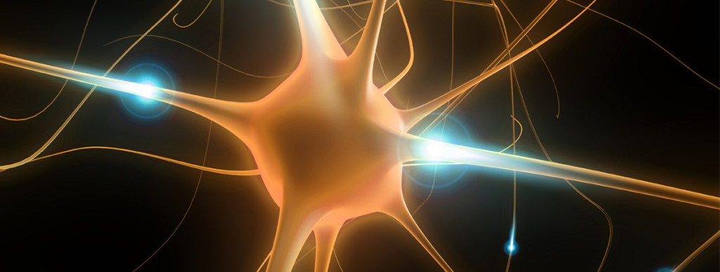 stem cell therapy 