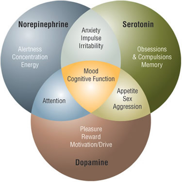 neurotransmitters-and-mood-symptoms