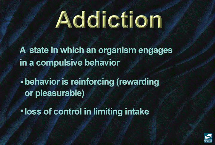slide13