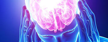 Addicted brain