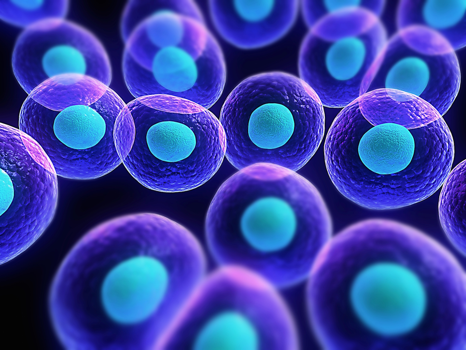 stem cell tissues