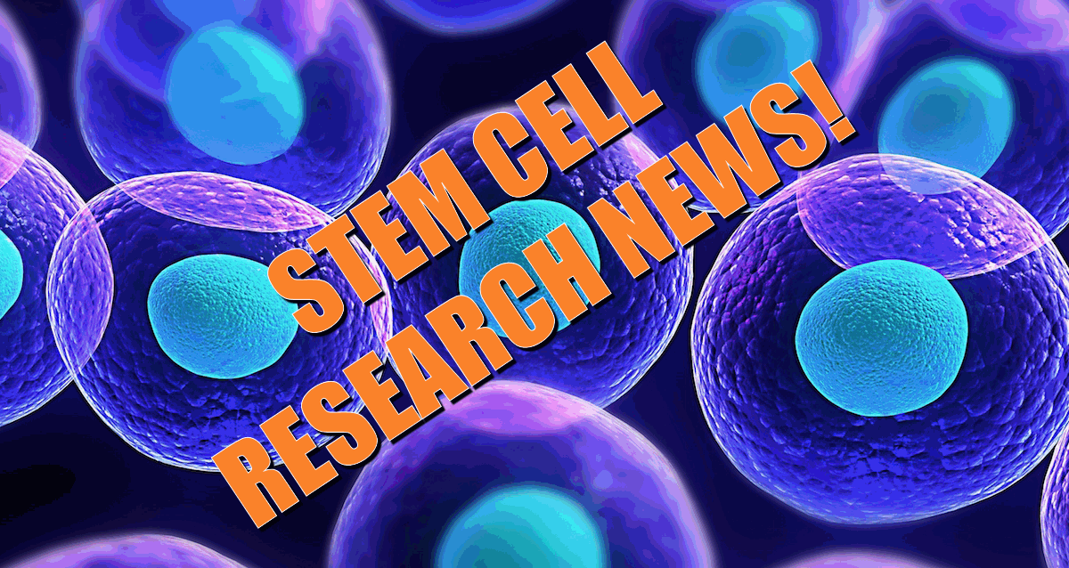 stem cell research